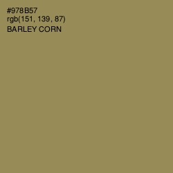 #978B57 - Barley Corn Color Image